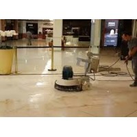 TRATAMENTO LIMPEZA RASPAGEM MARCOPISO